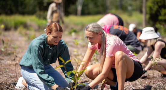 Reforest Australia